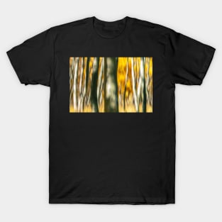 Aspens Abstract No.2 T-Shirt